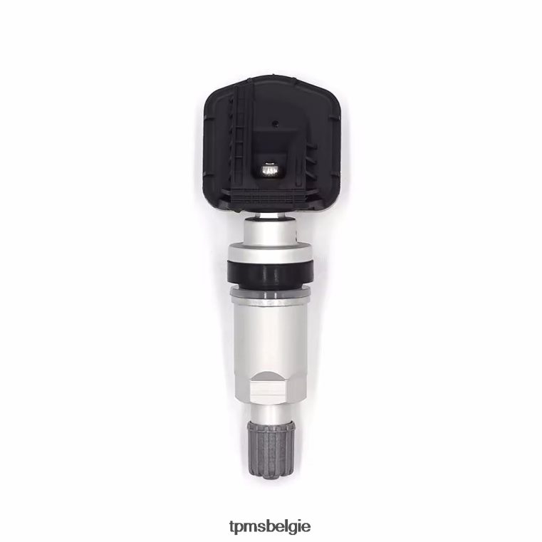 Tpms Rongwei bandenspanningsensor 10290600 - TPMS Sensor Inleren 20VVDB1256